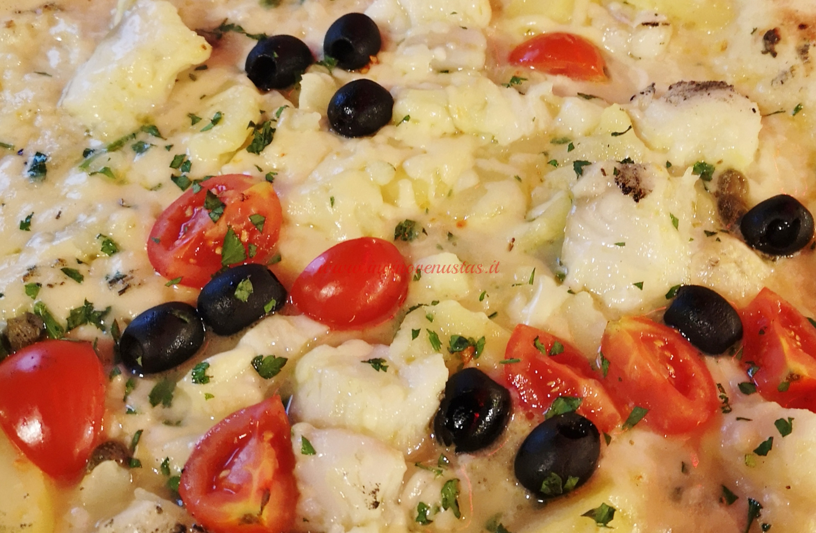Pizza bianca con pesce olive e pomodorini come esempio di abbinamento vino e pizza