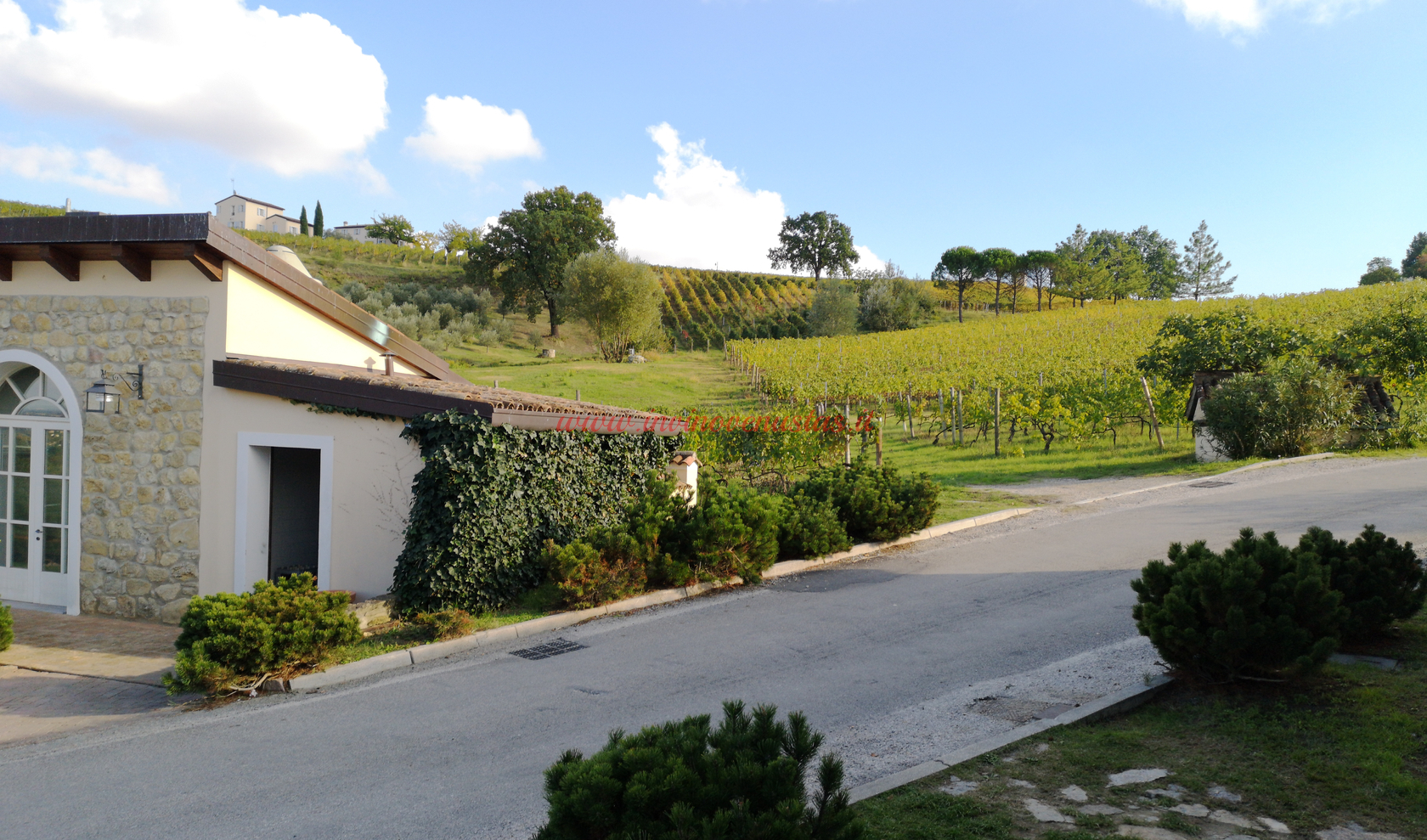 Wine Resort Borgo Condé Forlì