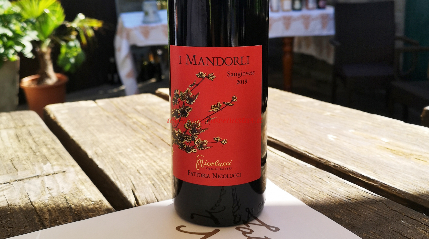 I Mandorli Sangiovese 2019 Vini Nicolucci