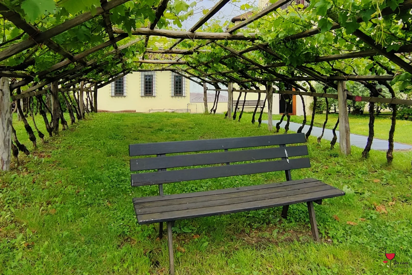 Panchina con vista Museo del Vino Caldaro