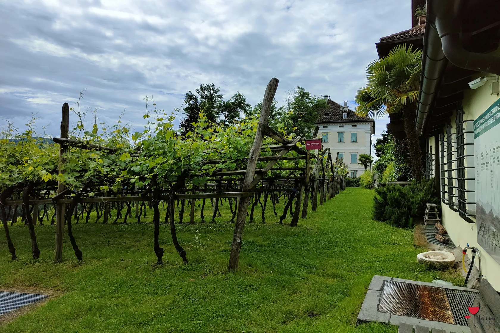 Percorso istruttivo Museo del Vino Caldaro