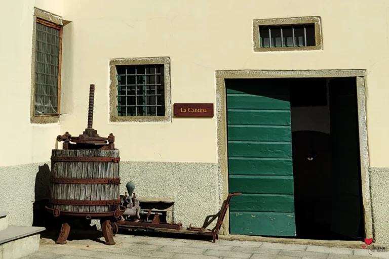 Cantina Fattoria di San Leo - Olio di Vinaccioli