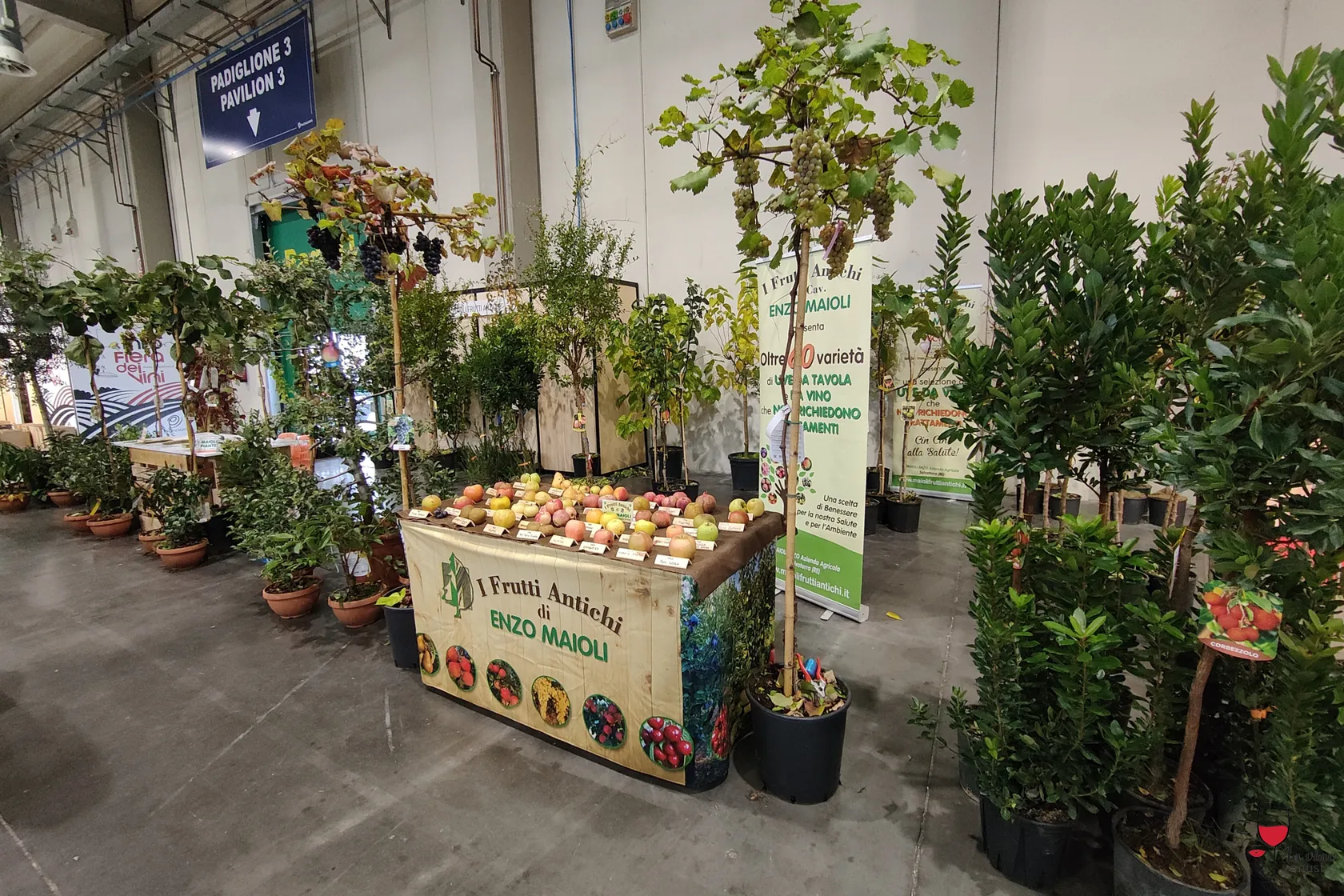 Stand Maioli Frutti Antichi Fiera dei Vini Piacenza 2024