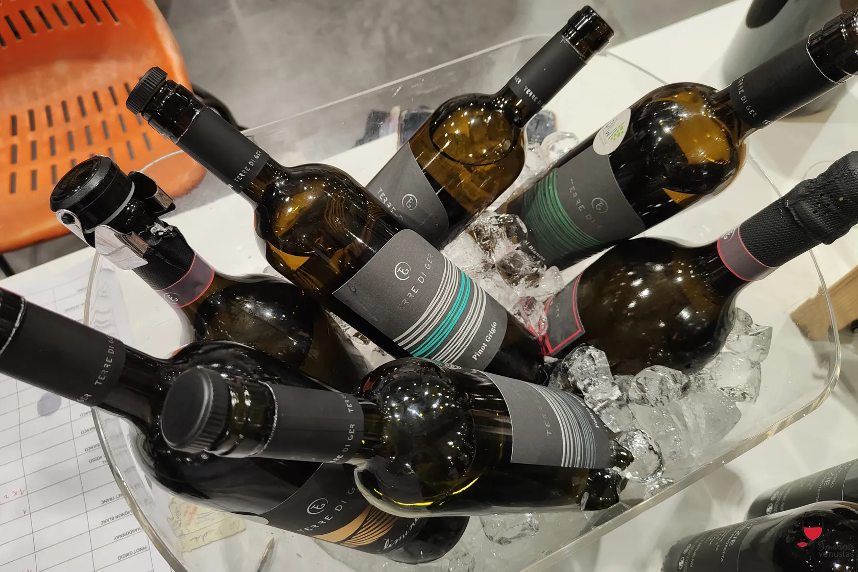 Vini Terre di Ger in degustazione a Fiera dei Vini 2024