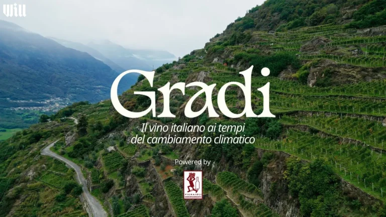 Gradi reportage cambiamento climatico e vino italiano di Will Media con FIVI