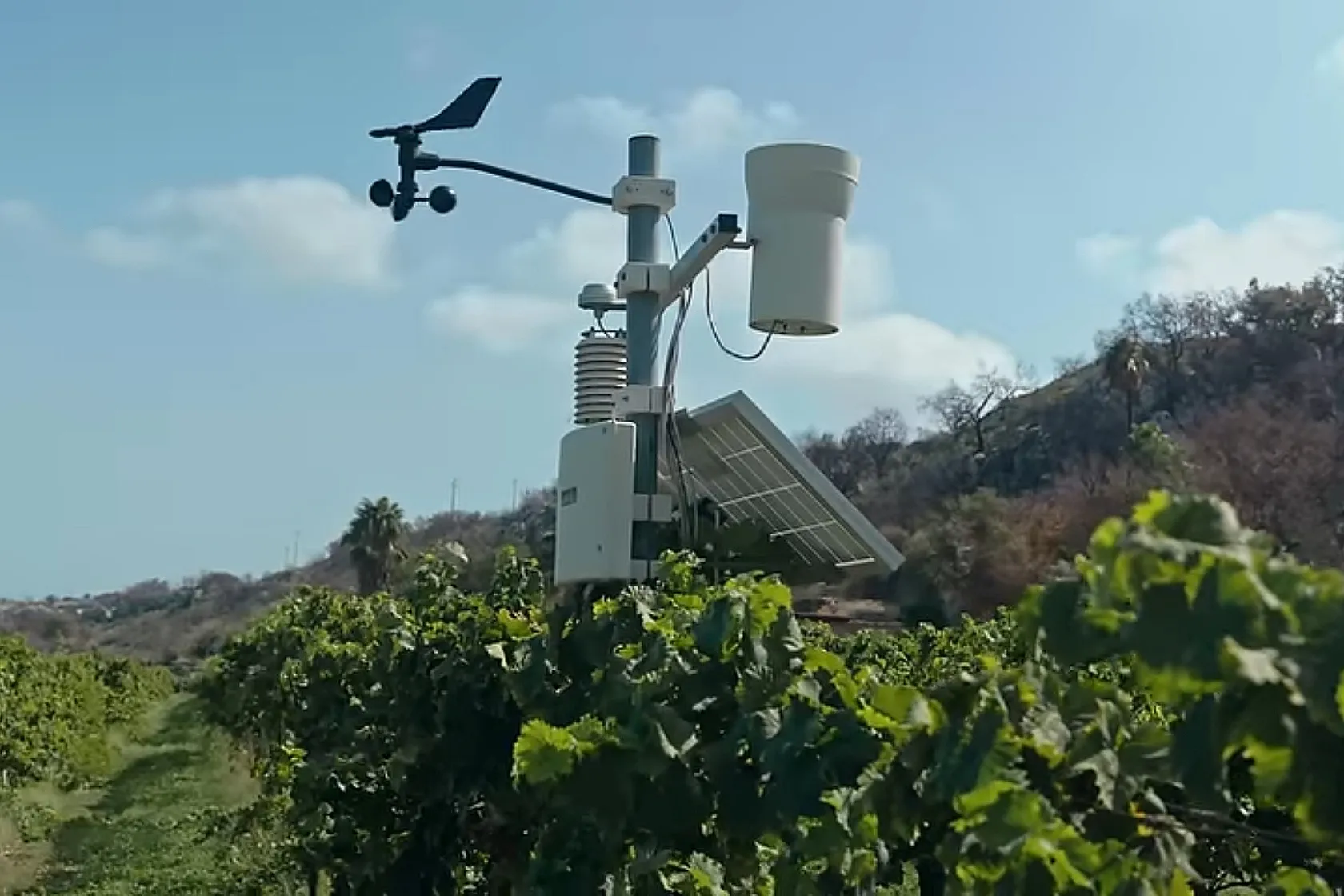 Stazione meteo vigneti Cantine Pupillo -Documentario Gradi Will