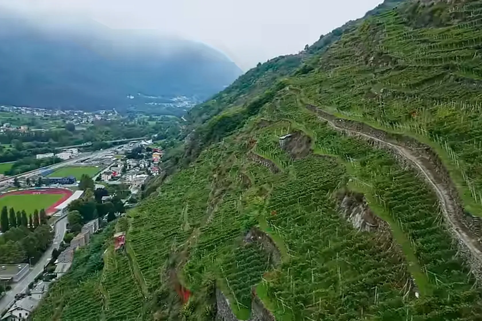 Vigneti Cantina ARPEPE Valtellina - Documentario Gradi Will