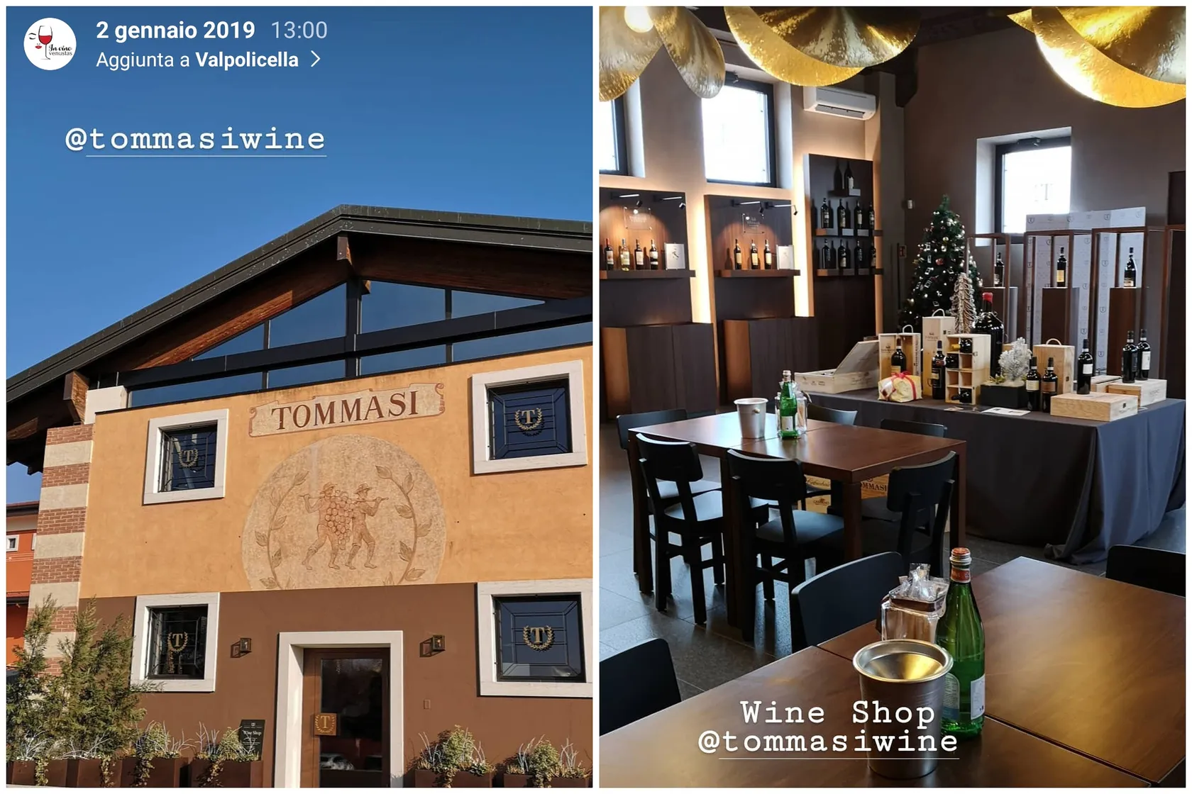 Wine shop Cantina Tommasi