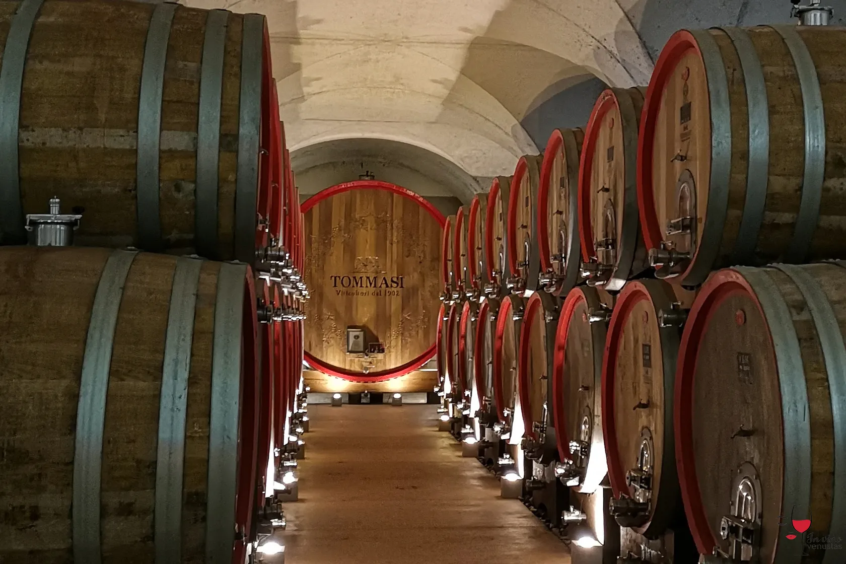 Visita Cantina Tommasi - botte Magnifica