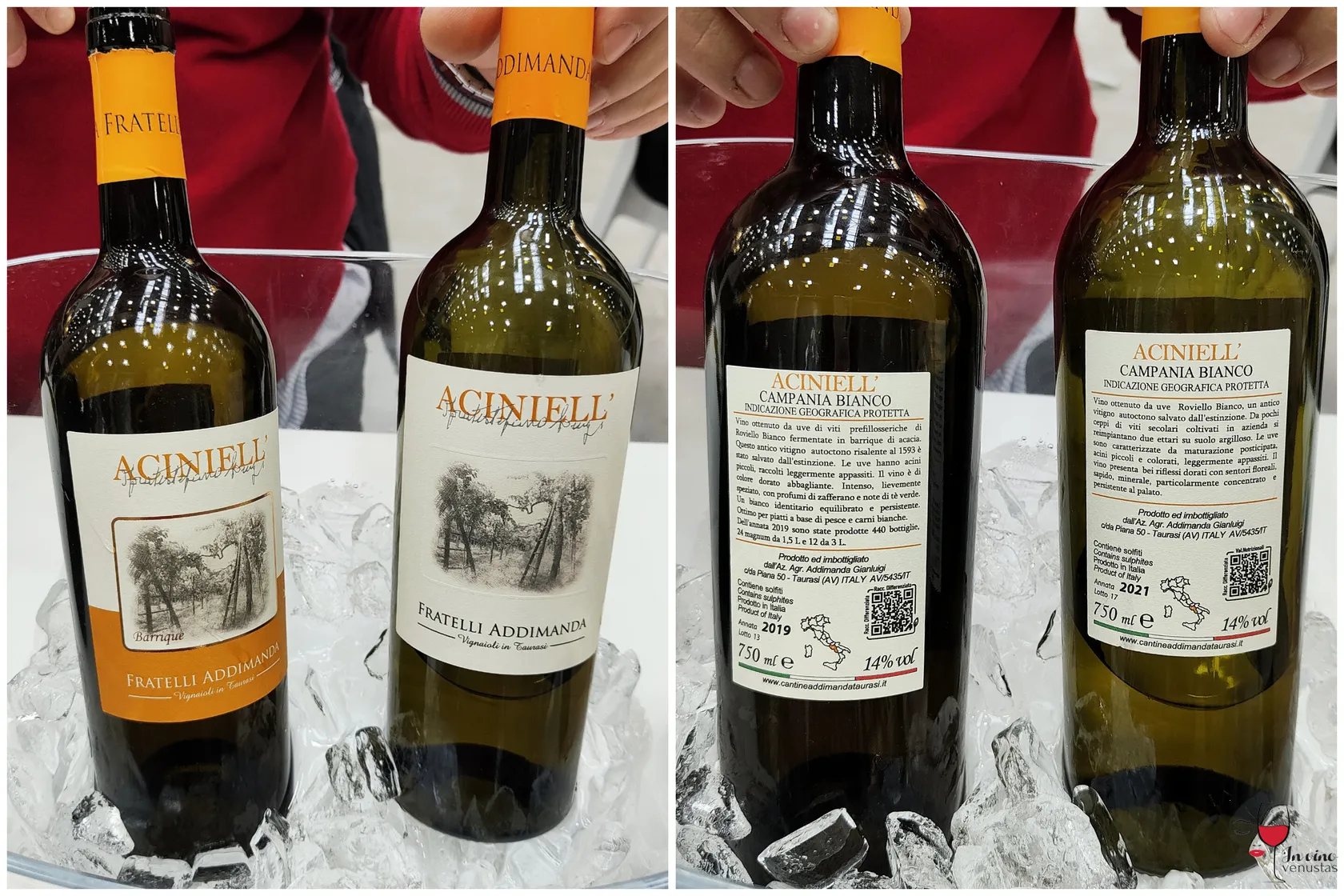 Aciniell' 2019 e 2021 Cantine Fratelli Addimanda 