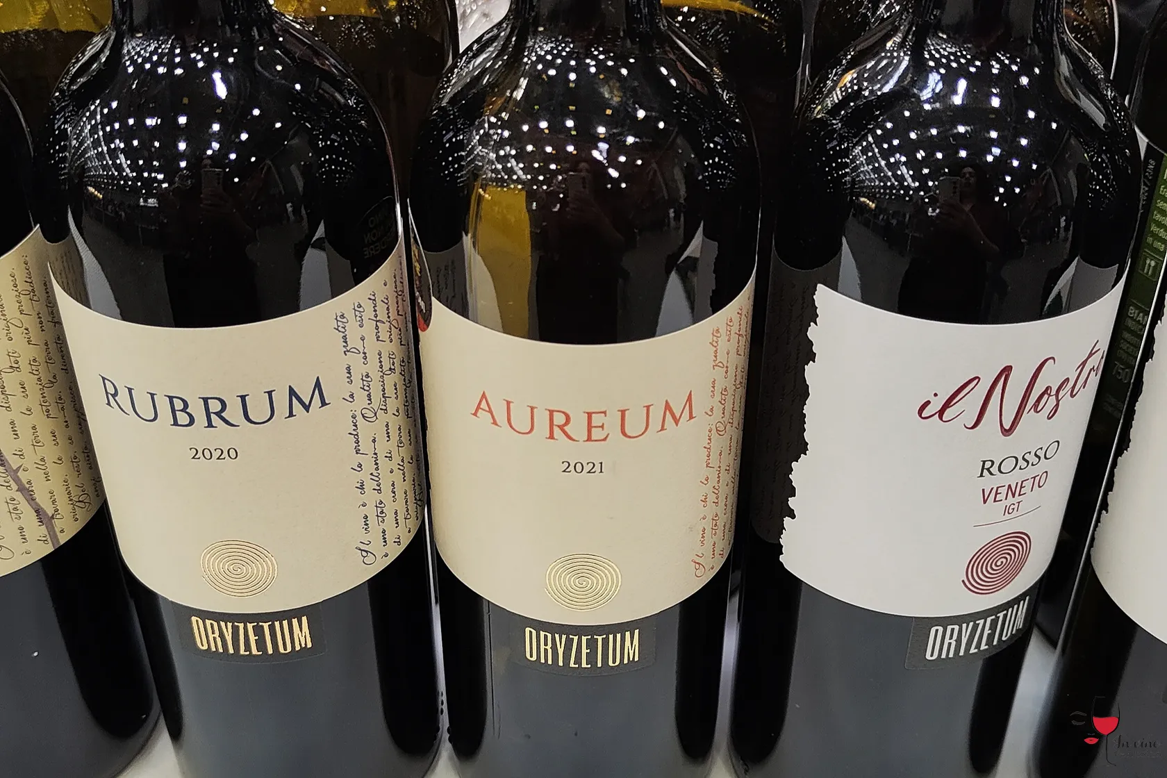 Aureum - Verduzzo Trevigiano Orange - Slow Wine Fair 2025