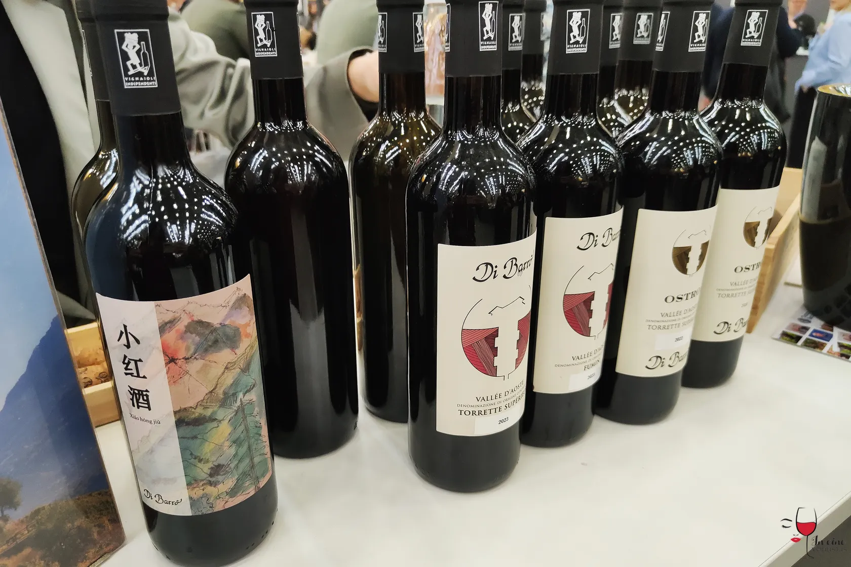 Vini cantina Di Barrò Slow Wine Fair 2025